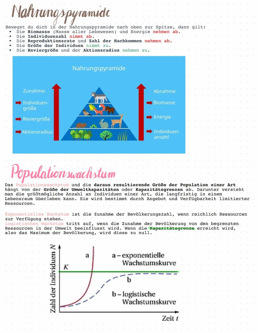 BIOLOGIE
Ökologie.
Ökologie beschreibt die Beziehungen von Lebewesen, also Tieren und Pflanzen,
untereinander und ihre Wechselwirkungen mit 