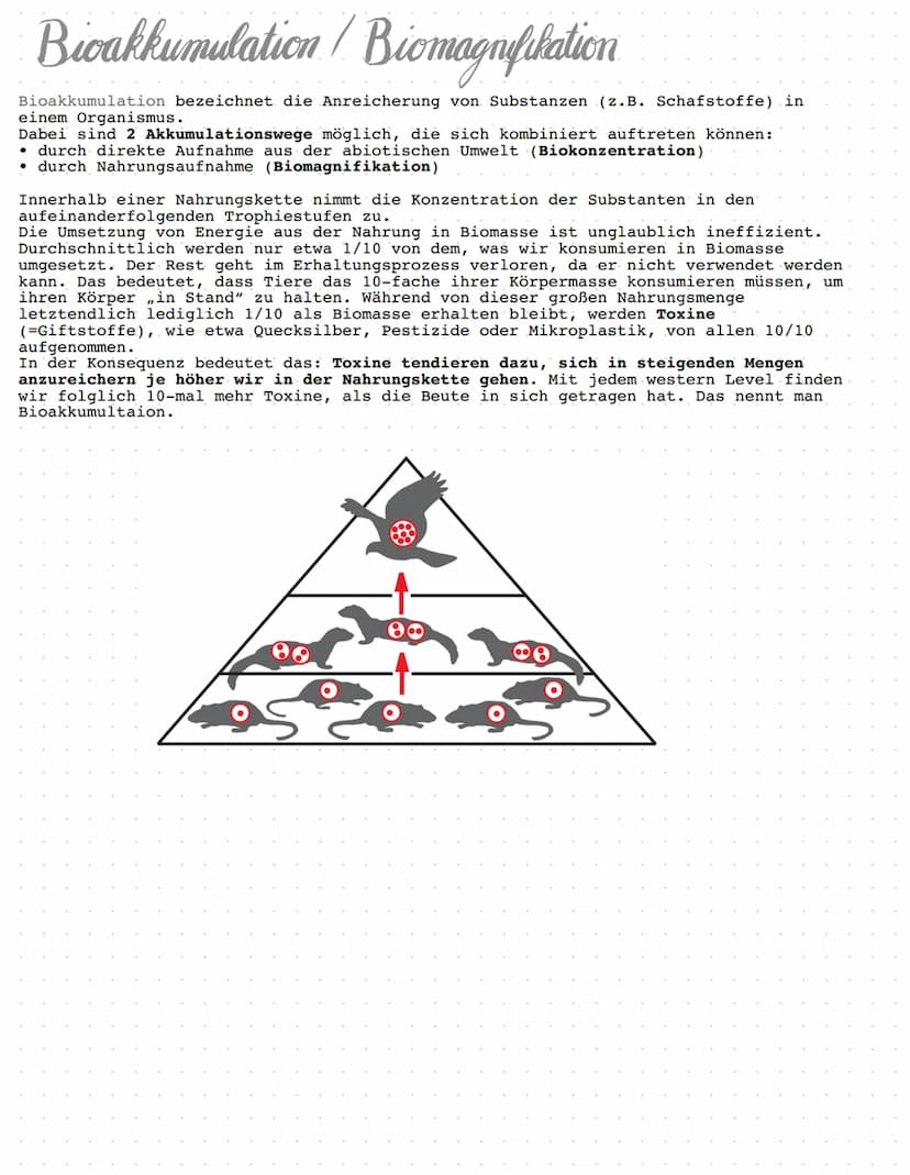 BIOLOGIE
Ökologie.
Ökologie beschreibt die Beziehungen von Lebewesen, also Tieren und Pflanzen,
untereinander und ihre Wechselwirkungen mit 