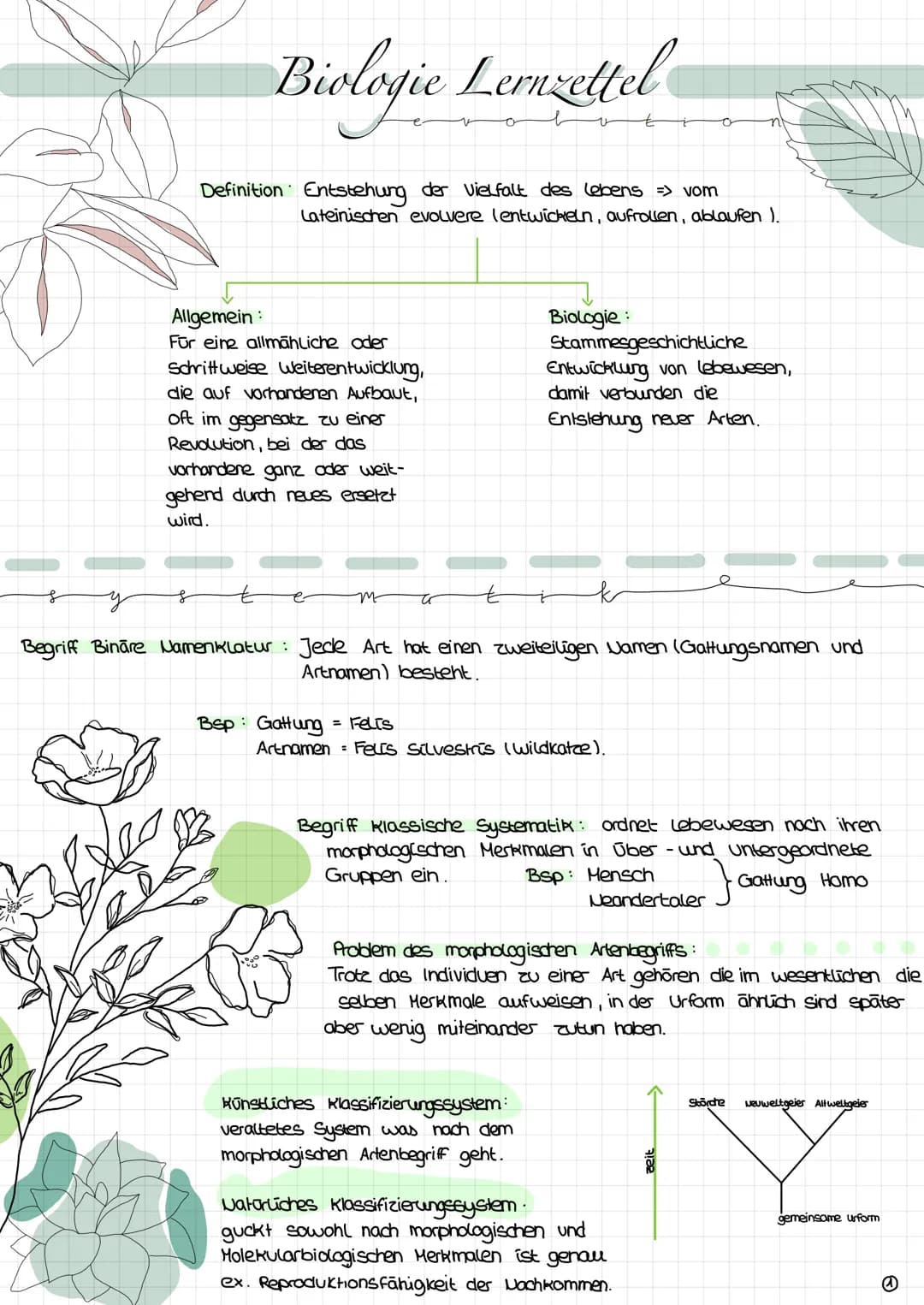  s
Biologie Lemzettel
s
Definition Entstehung der Vielfalt des Lebens => vom
Allgemein:
Für eine allmähliche oder
Schrittweise Weiterentwick