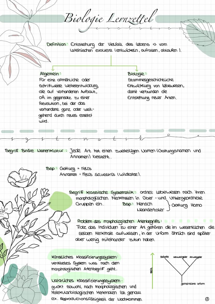  s
Biologie Lemzettel
s
Definition Entstehung der Vielfalt des Lebens => vom
Allgemein:
Für eine allmähliche oder
Schrittweise Weiterentwick