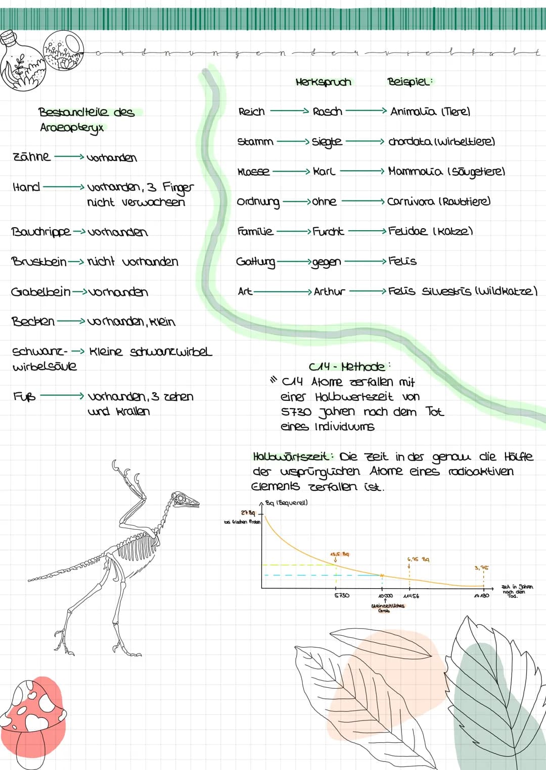  s
Biologie Lemzettel
s
Definition Entstehung der Vielfalt des Lebens => vom
Allgemein:
Für eine allmähliche oder
Schrittweise Weiterentwick