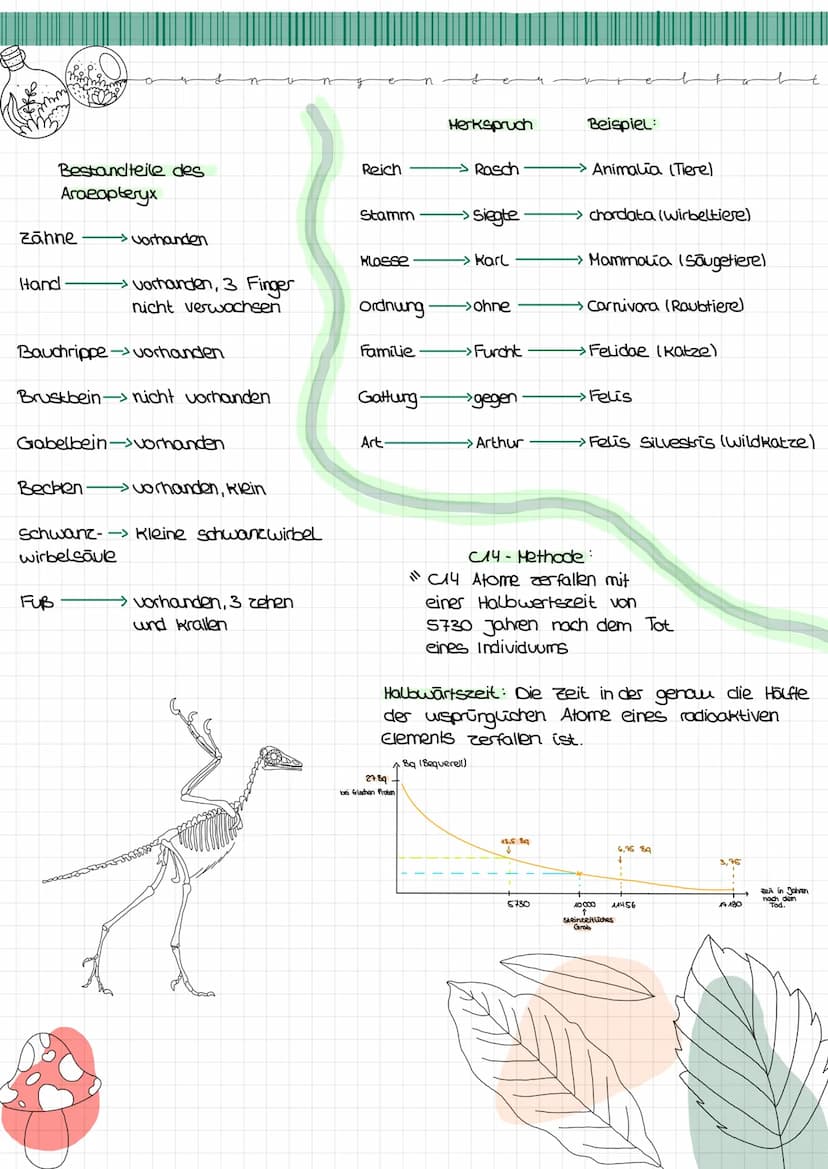  s
Biologie Lemzettel
s
Definition Entstehung der Vielfalt des Lebens => vom
Allgemein:
Für eine allmähliche oder
Schrittweise Weiterentwick