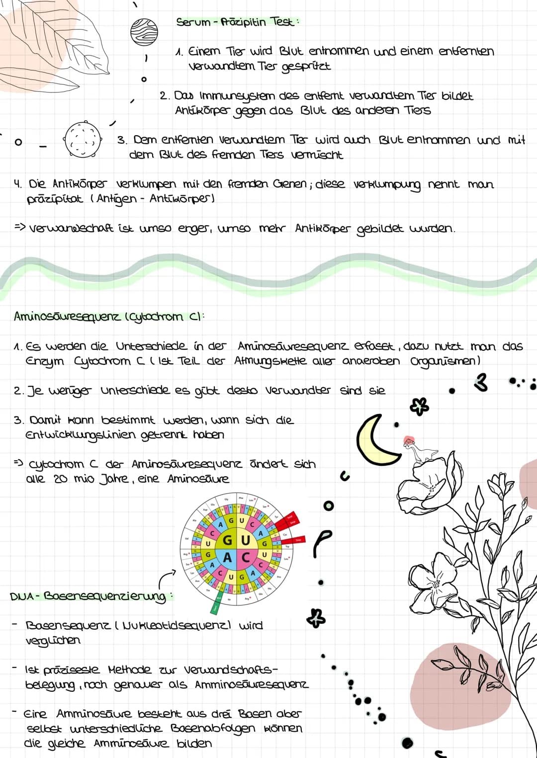  s
Biologie Lemzettel
s
Definition Entstehung der Vielfalt des Lebens => vom
Allgemein:
Für eine allmähliche oder
Schrittweise Weiterentwick