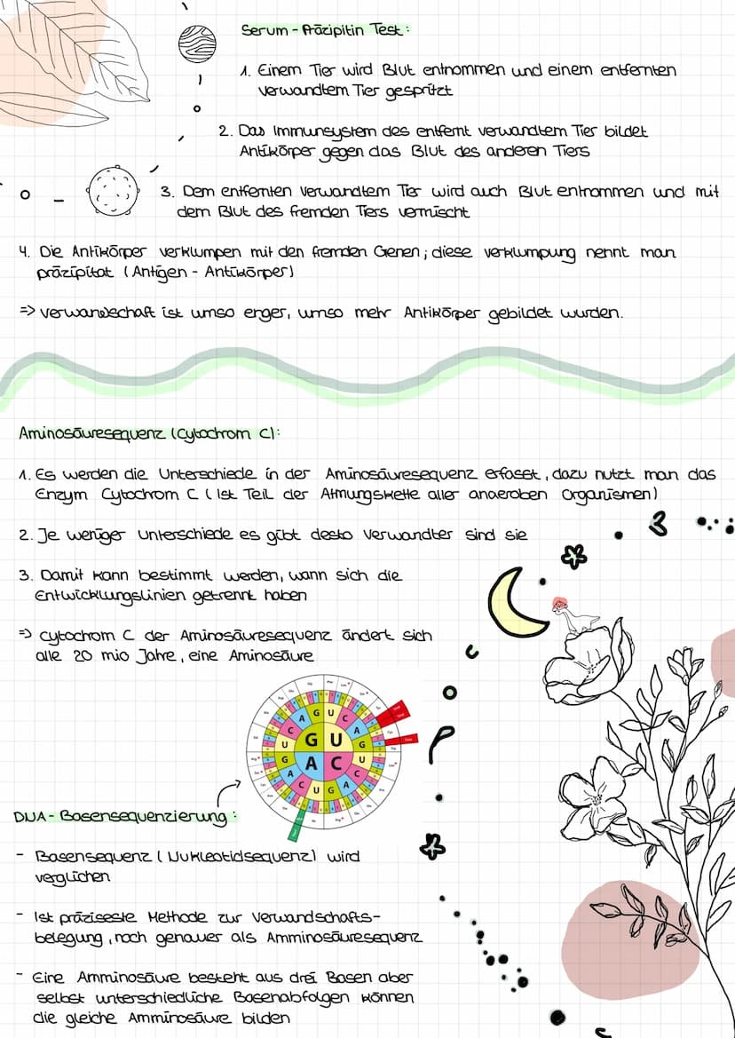  s
Biologie Lemzettel
s
Definition Entstehung der Vielfalt des Lebens => vom
Allgemein:
Für eine allmähliche oder
Schrittweise Weiterentwick