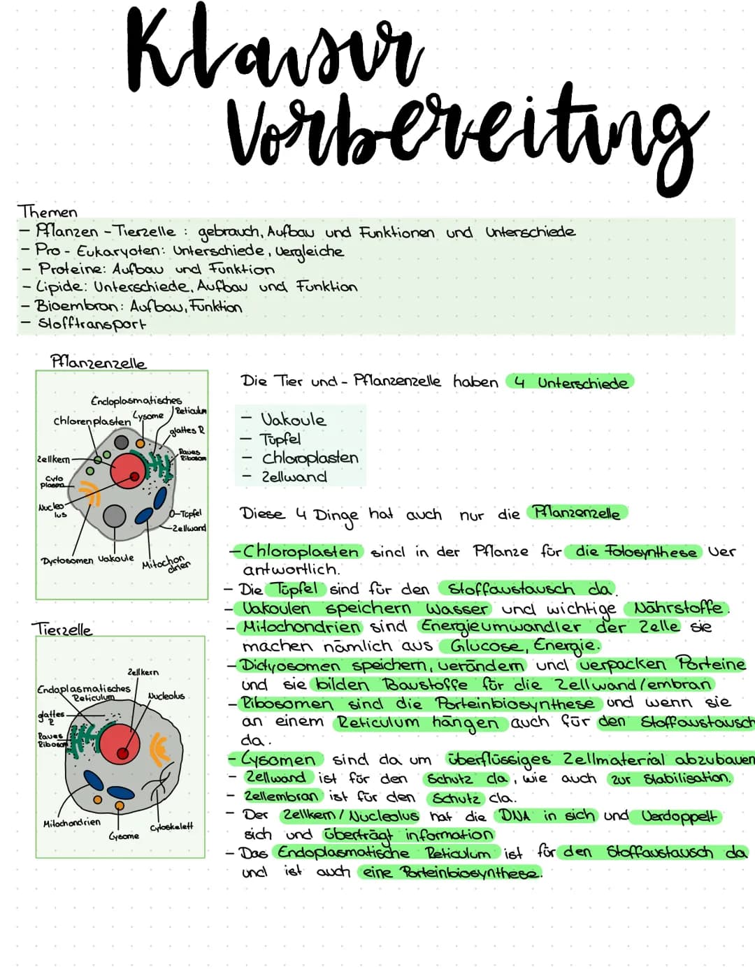 Themen
- Pflanzen - Tierzelle: gebrauch, Aufbau und Funktionen und unterschiede
- Pro - Eukaryoten: Unterschiede, Vergleiche
- Proteine: Auf