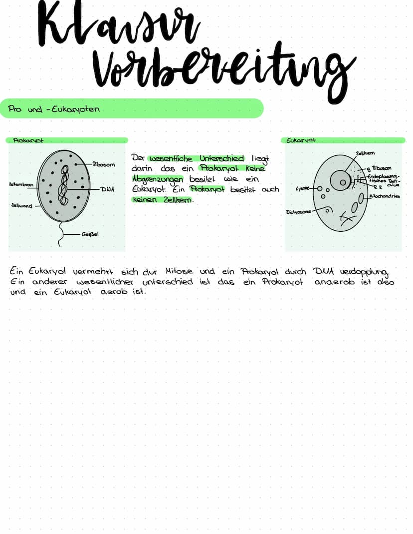 Themen
- Pflanzen - Tierzelle: gebrauch, Aufbau und Funktionen und unterschiede
- Pro - Eukaryoten: Unterschiede, Vergleiche
- Proteine: Auf