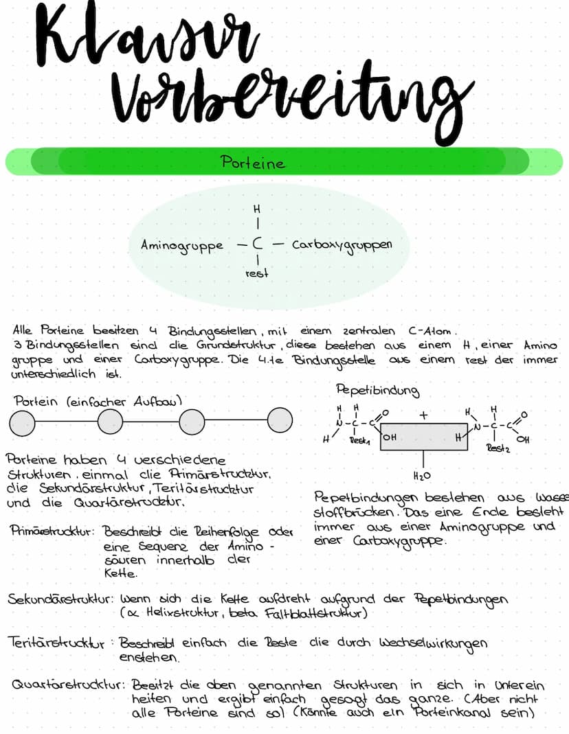 Themen
- Pflanzen - Tierzelle: gebrauch, Aufbau und Funktionen und unterschiede
- Pro - Eukaryoten: Unterschiede, Vergleiche
- Proteine: Auf