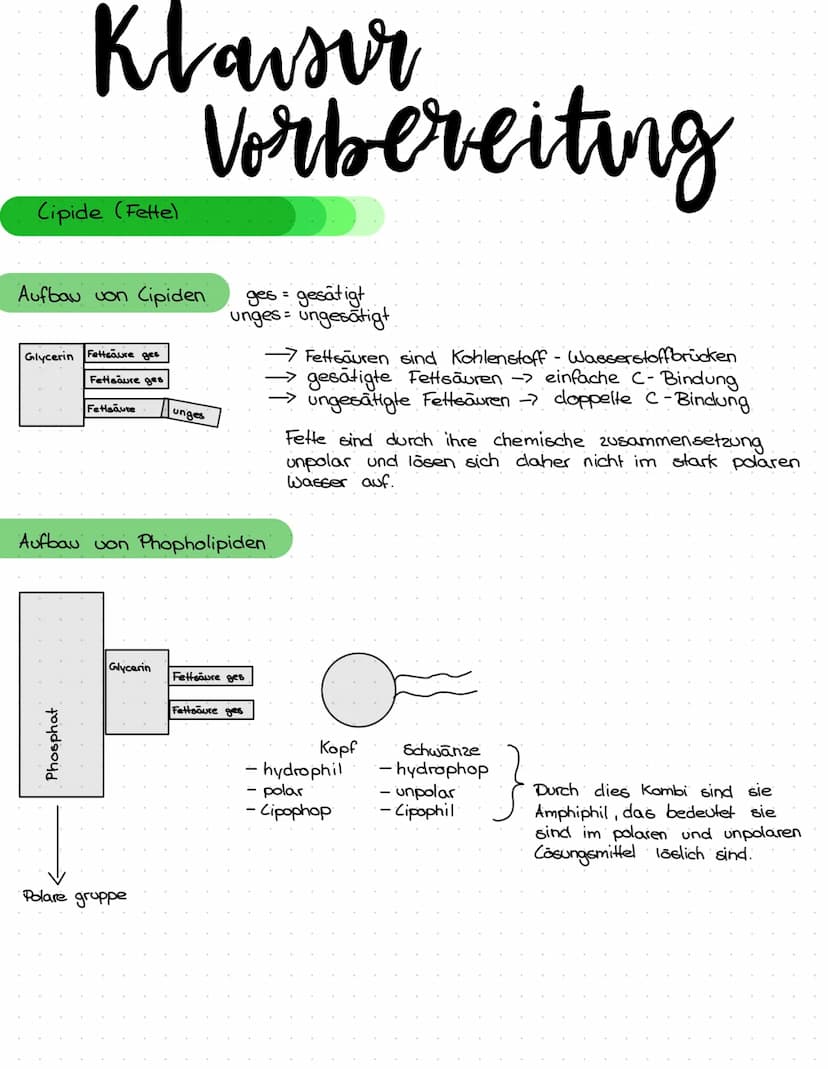 Themen
- Pflanzen - Tierzelle: gebrauch, Aufbau und Funktionen und unterschiede
- Pro - Eukaryoten: Unterschiede, Vergleiche
- Proteine: Auf