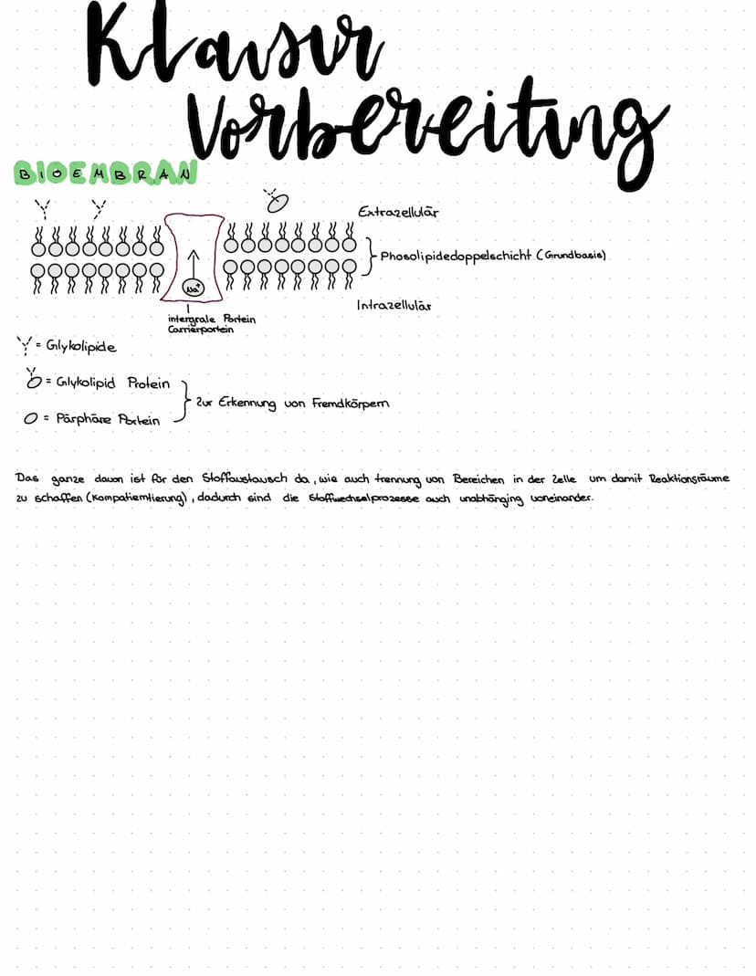 Themen
- Pflanzen - Tierzelle: gebrauch, Aufbau und Funktionen und unterschiede
- Pro - Eukaryoten: Unterschiede, Vergleiche
- Proteine: Auf