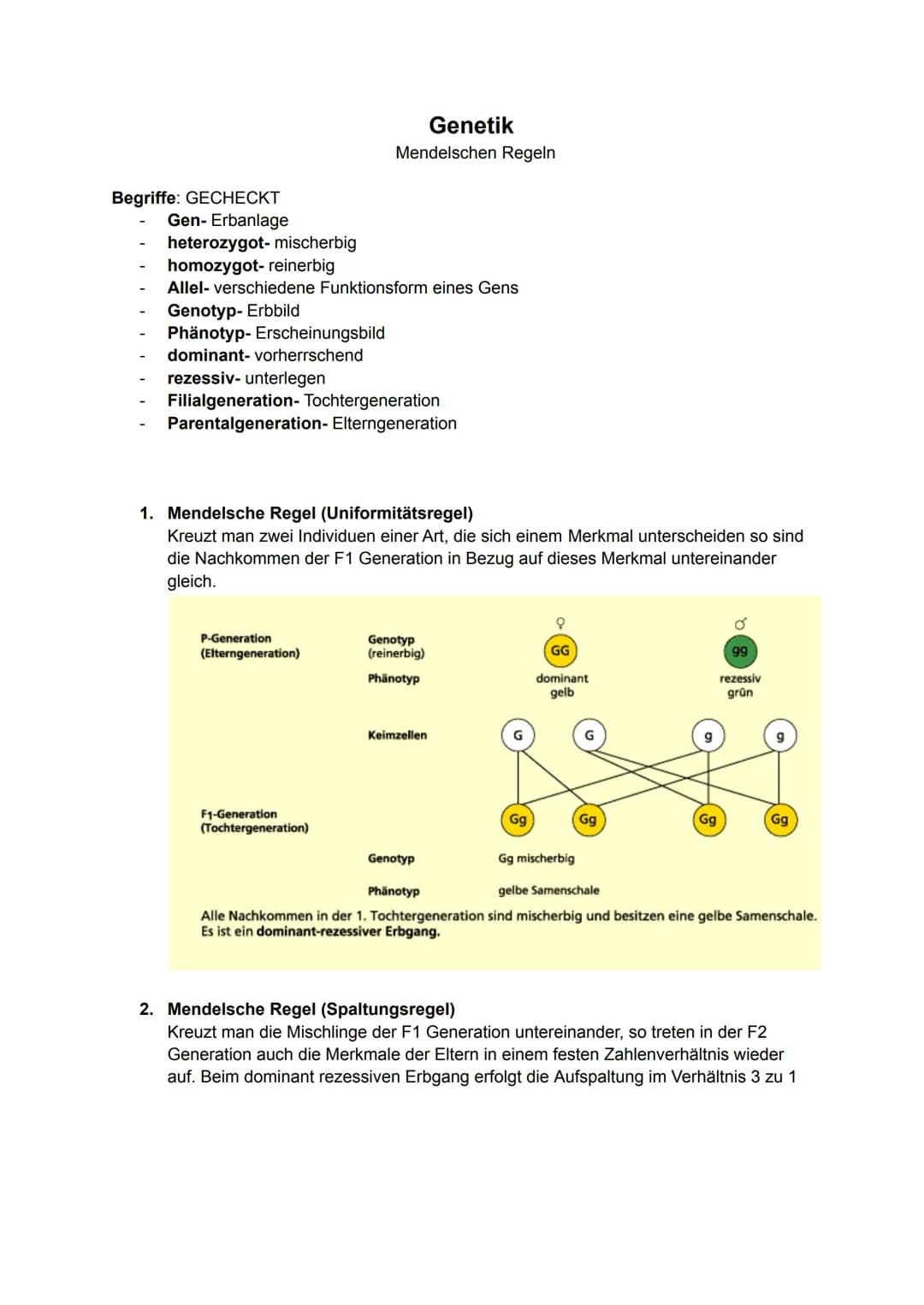 Begriffe: GECHECKT
Gen- Erbanlage
heterozygot- mischerbig
homozygot- reinerbig
Allel- verschiedene Funktionsform eines Gens
Genotyp- Erbbild
