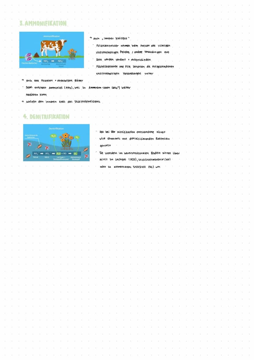 STICKSTOFFKREISLAUF
Stickstoffkreislauf
NEN
1
Stickstoff-Fixierung
@A
Ammonifikation
on Fa
8 1888
NH₂
Ammonium
-Jonen
Nitrifikation
STICKSTO