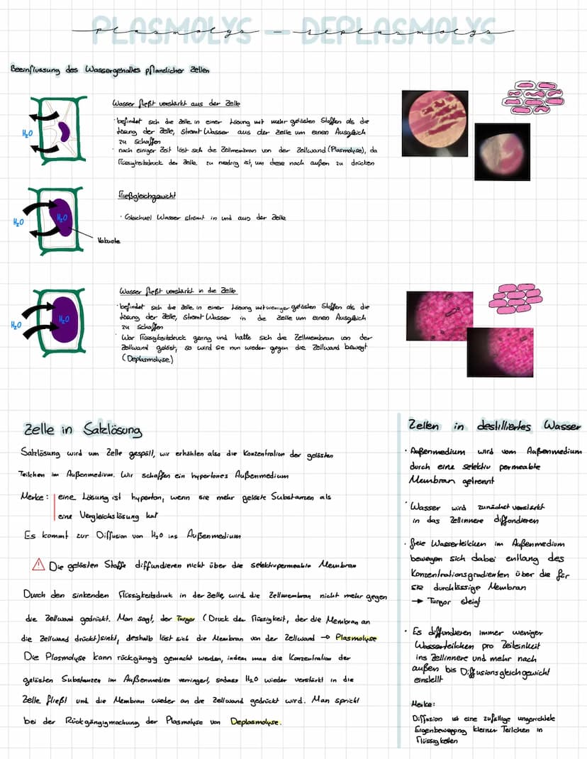 BIOMEMBRAN
Schemazeichnung einer lierischen Biomembran
extasellaire Rissheit
Kohlenhydratkile
Glyholipid
intracelluläre flüssigkeit
+ O
xxxx