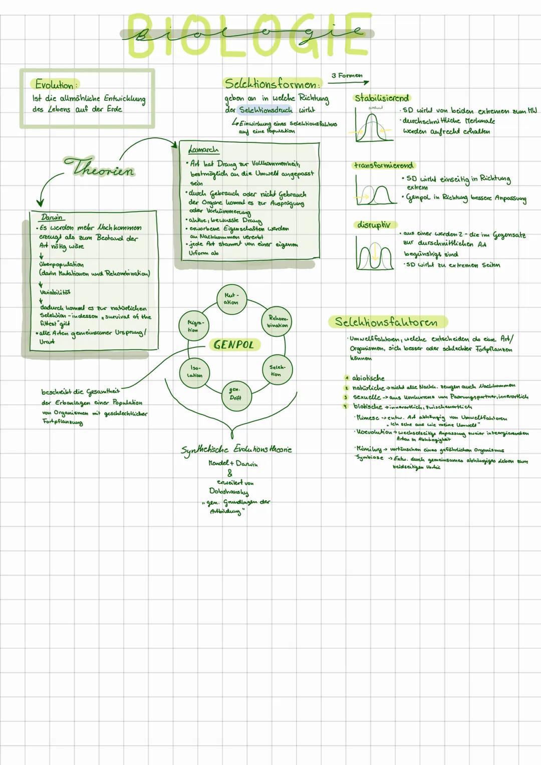 3 Formen

Evolution:
Ist die allmähliche Entwicklung
des Lebens auf der Erde

Darwin

Theorien
• Es werdon mehr loch kommen
crecugt als zum 