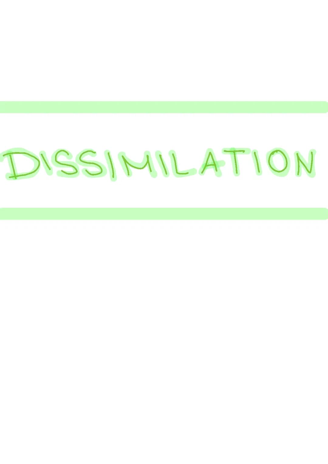 Dissimilation / Stoffwechsel Abi