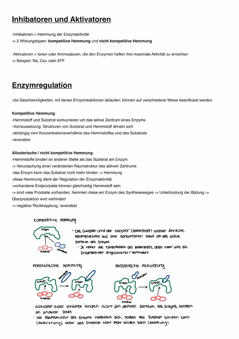 DISSIMILATION Proteine
Funktionen von Proteinen:
-erkennen andere Moleküle durch reversible Wechselwirkungen (vor allem Wasserstoffbrücken),