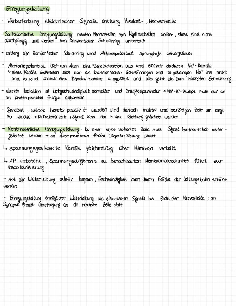 Ruhepotential
beschreibt den Zustand des negativen Potential der unerregten Nervenzelle
negatives Potential zurückzuführen auf Ladungsgleich
