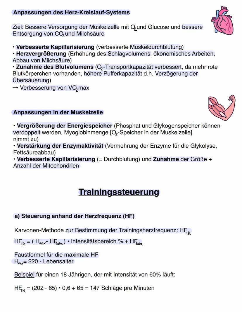 Ausdauer
Kondition (= Energiebereitstellung)
Ausdayen
Ausdauer vs. Kondition
Kraft
Ausdauer
Schnelligkeit Beweglichkeit
Bewegungskoor
-ditna