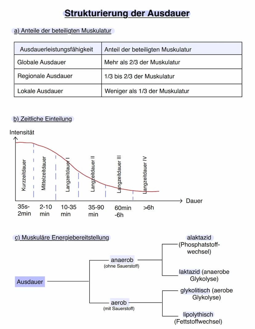 Ausdauer
Kondition (= Energiebereitstellung)
Ausdayen
Ausdauer vs. Kondition
Kraft
Ausdauer
Schnelligkeit Beweglichkeit
Bewegungskoor
-ditna