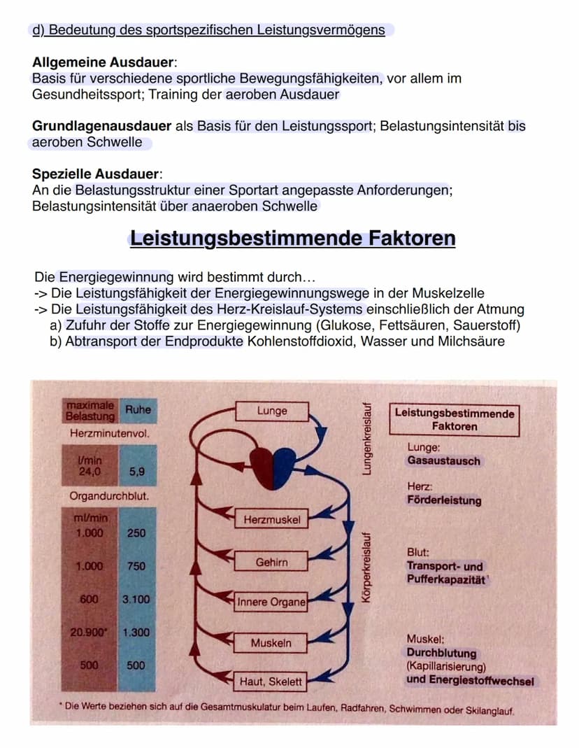 Ausdauer
Kondition (= Energiebereitstellung)
Ausdayen
Ausdauer vs. Kondition
Kraft
Ausdauer
Schnelligkeit Beweglichkeit
Bewegungskoor
-ditna
