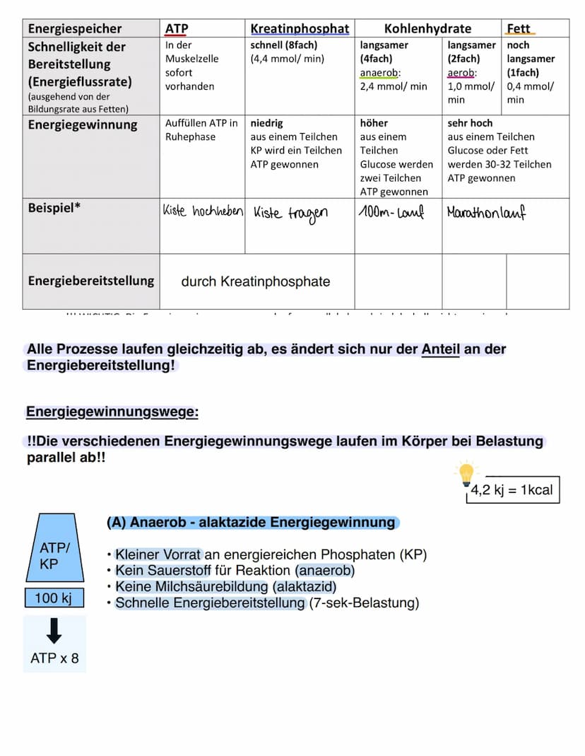Ausdauer
Kondition (= Energiebereitstellung)
Ausdayen
Ausdauer vs. Kondition
Kraft
Ausdauer
Schnelligkeit Beweglichkeit
Bewegungskoor
-ditna