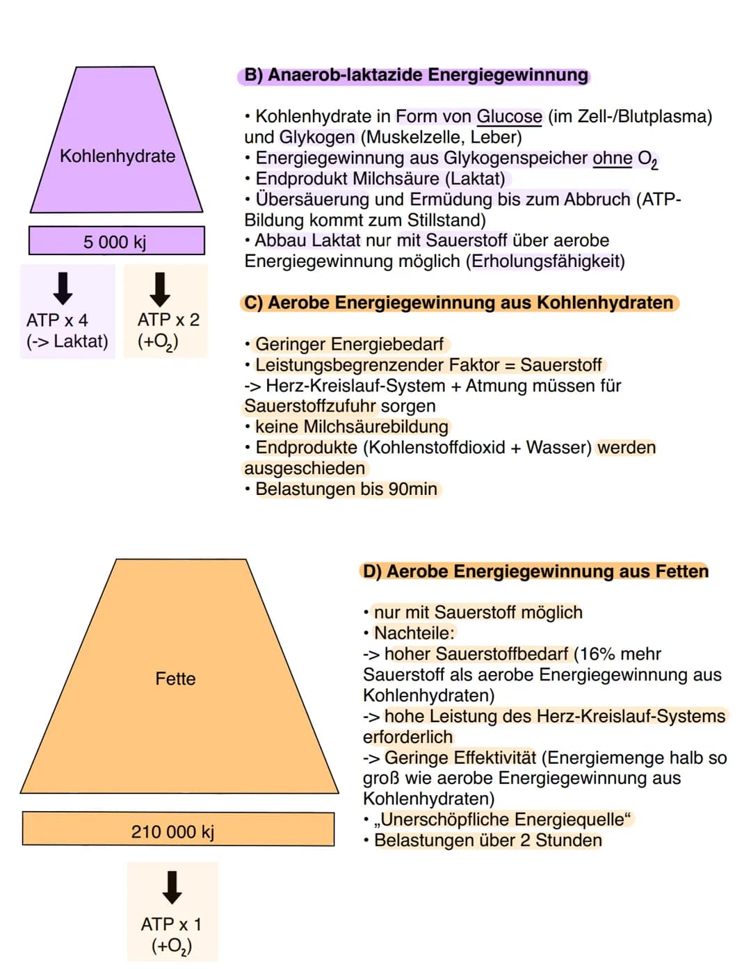 Ausdauer
Kondition (= Energiebereitstellung)
Ausdayen
Ausdauer vs. Kondition
Kraft
Ausdauer
Schnelligkeit Beweglichkeit
Bewegungskoor
-ditna
