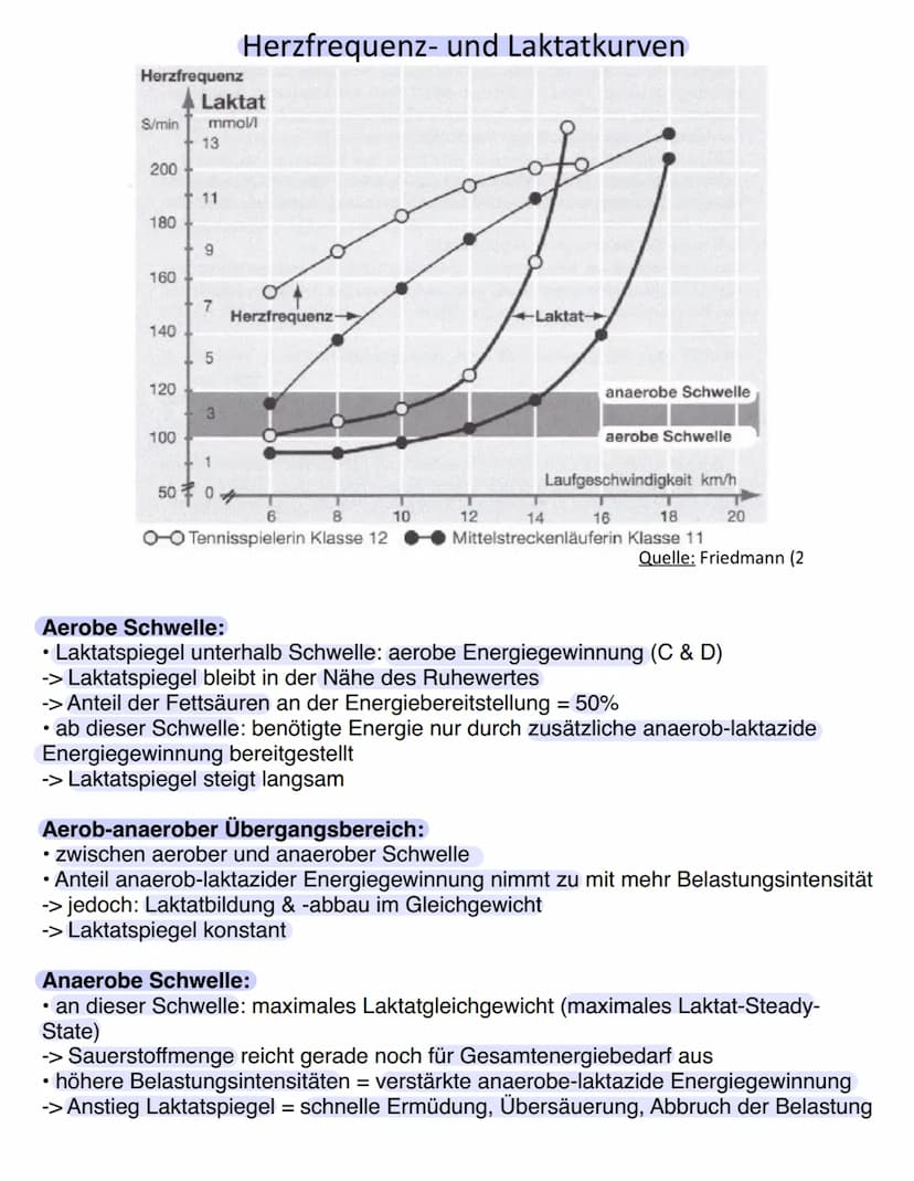 Ausdauer
Kondition (= Energiebereitstellung)
Ausdayen
Ausdauer vs. Kondition
Kraft
Ausdauer
Schnelligkeit Beweglichkeit
Bewegungskoor
-ditna