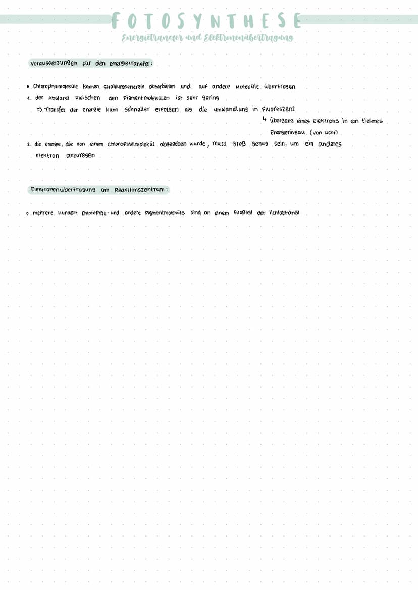 • bestehen zum Großteil aus Proteinen (Appenzym)
• Substrat bindet und reagiert im Aktiven zentrum → manche brauchen noch Coenzyme, um zu wi