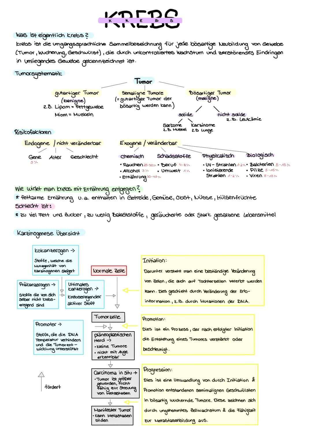 KREBS
Was ist eigentlich krebs?
krebs ist die umgangssprachliche Sammelbezeichnung für jede bösartige Neubildung von Gewebe
(Tumor, Wucherun