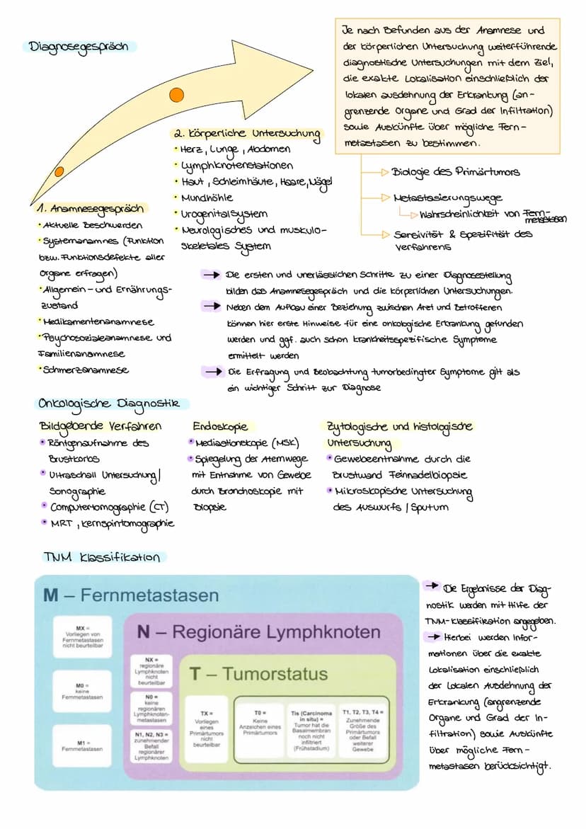 KREBS
Was ist eigentlich krebs?
krebs ist die umgangssprachliche Sammelbezeichnung für jede bösartige Neubildung von Gewebe
(Tumor, Wucherun