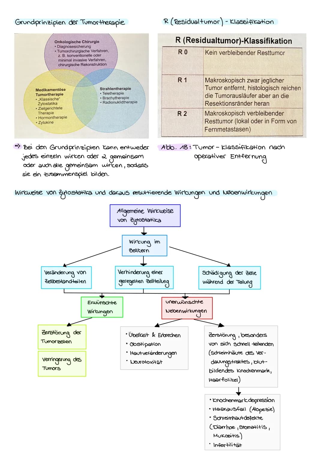 KREBS
Was ist eigentlich krebs?
krebs ist die umgangssprachliche Sammelbezeichnung für jede bösartige Neubildung von Gewebe
(Tumor, Wucherun