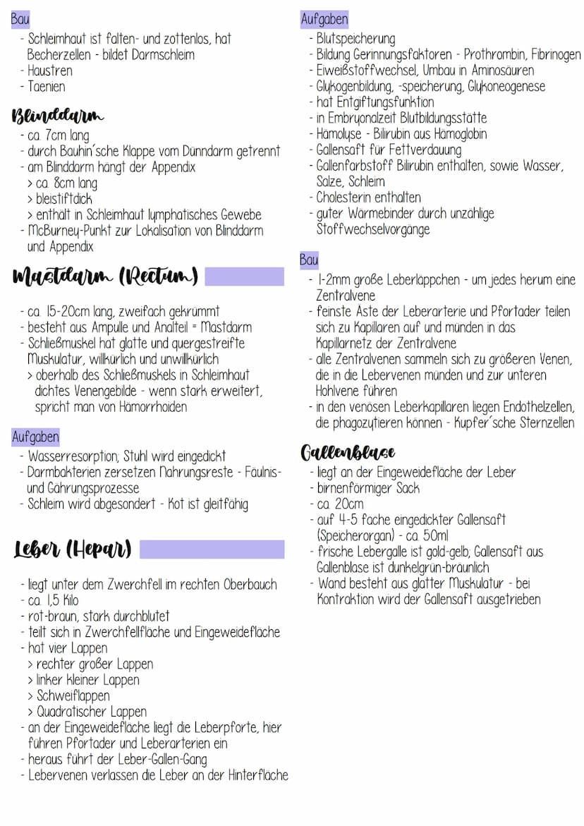 eile
- Mundhöhle
Rachen
-Speiseröhre
- Magen
Dünndarm
-
-
Aufgaben
- Aufnahme, Zerkleinerung, Verflüssigung,
Fortbewegen der Nährstoffe
Abba