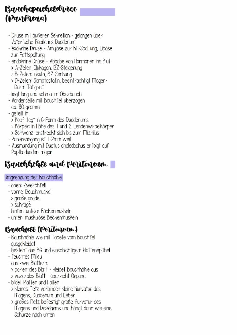 eile
- Mundhöhle
Rachen
-Speiseröhre
- Magen
Dünndarm
-
-
Aufgaben
- Aufnahme, Zerkleinerung, Verflüssigung,
Fortbewegen der Nährstoffe
Abba