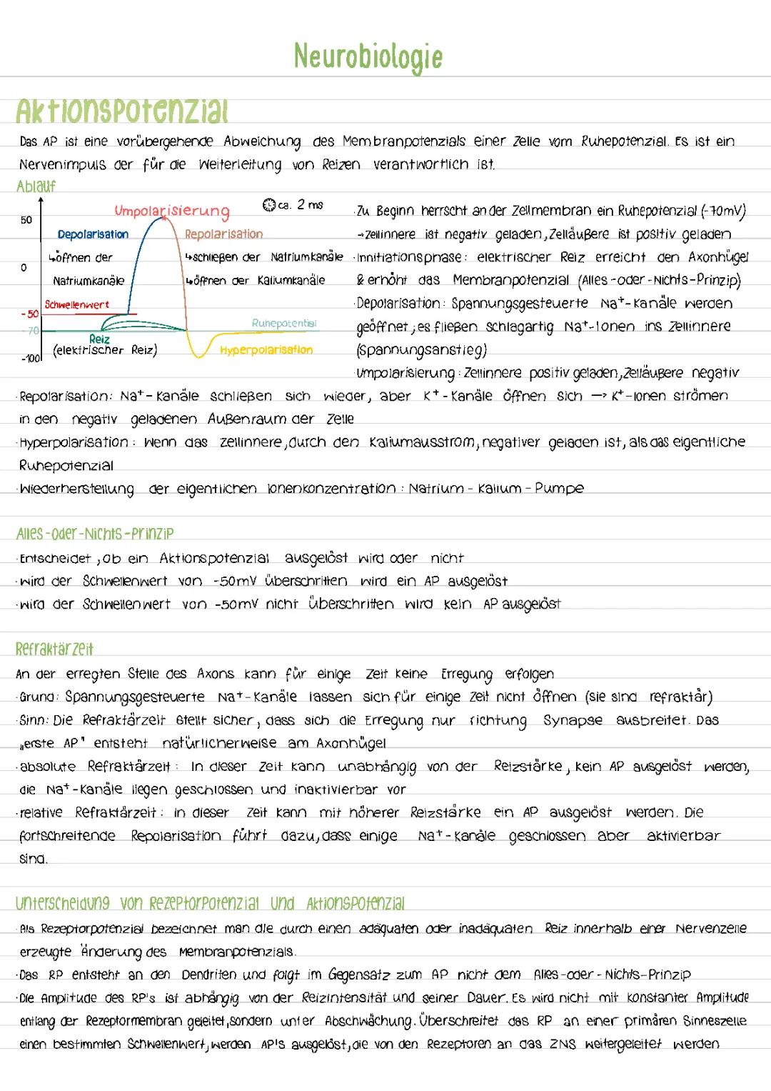 Neurobiologie 
