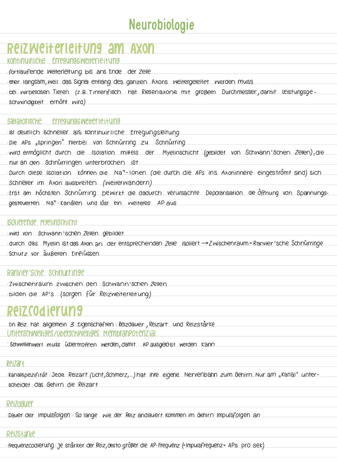 Aktionspotenzial
Das AP ist eine vorübergehende Abweichung des Membranpotenzials einer Zelle vom Ruhepotenzial. Es ist ein
Nervenimpuls der 