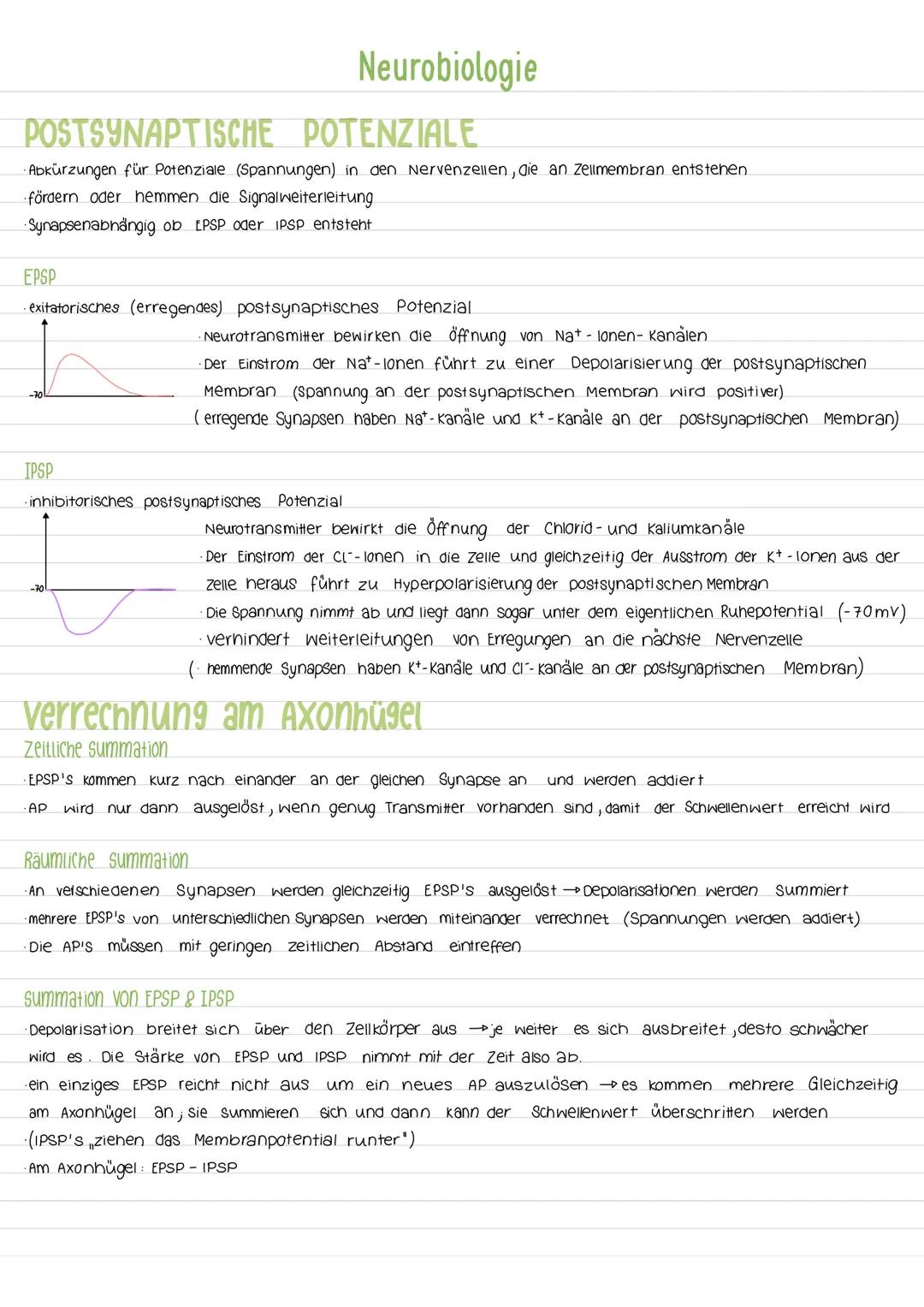 Aktionspotenzial
Das AP ist eine vorübergehende Abweichung des Membranpotenzials einer Zelle vom Ruhepotenzial. Es ist ein
Nervenimpuls der 