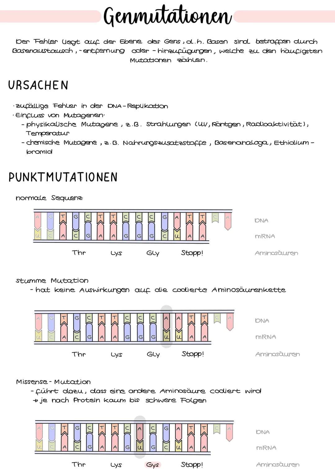 Genmutationen
Der Fehler liegt auf der Ebene des Gens, d.h. Basen sind betroffen durch
Basenaustausch, - entfernung oder - hinzufügungen, we