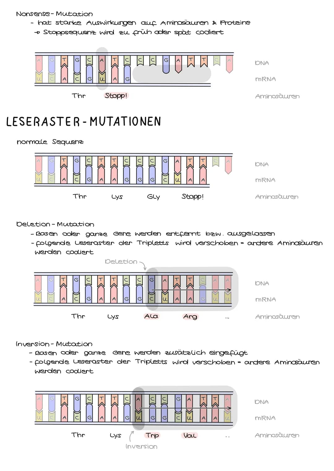Genmutationen
Der Fehler liegt auf der Ebene des Gens, d.h. Basen sind betroffen durch
Basenaustausch, - entfernung oder - hinzufügungen, we