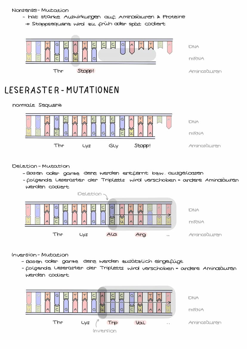 Genmutationen
Der Fehler liegt auf der Ebene des Gens, d.h. Basen sind betroffen durch
Basenaustausch, - entfernung oder - hinzufügungen, we