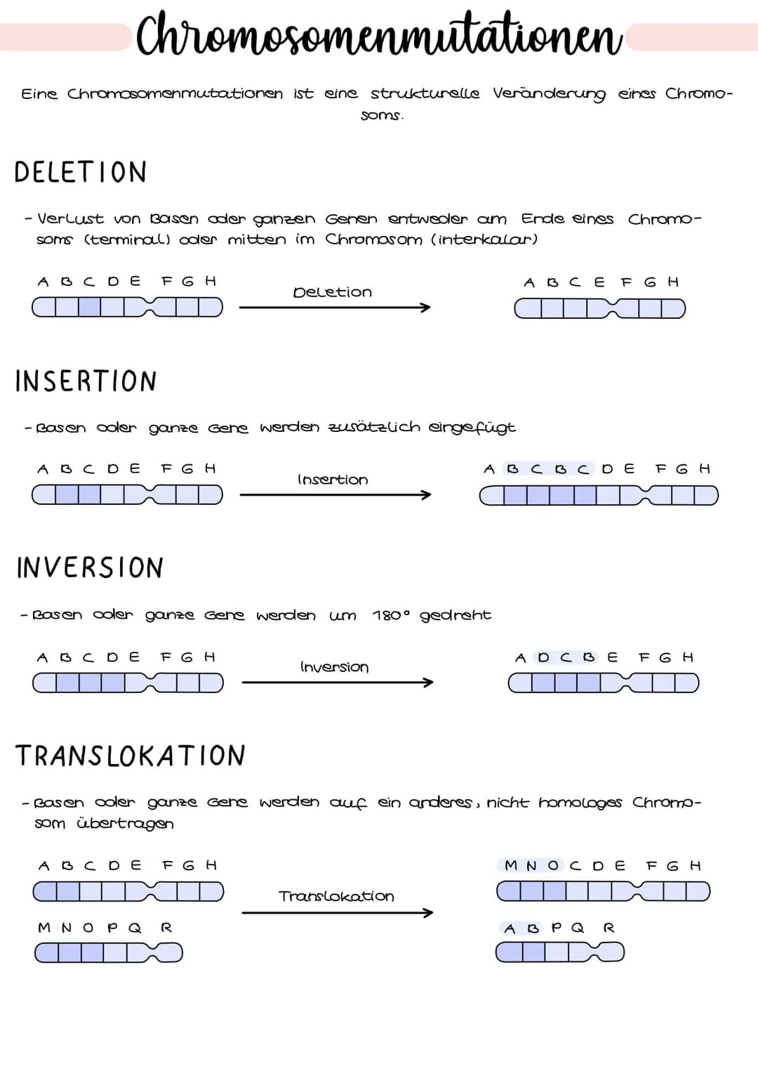 Genmutationen
Der Fehler liegt auf der Ebene des Gens, d.h. Basen sind betroffen durch
Basenaustausch, - entfernung oder - hinzufügungen, we