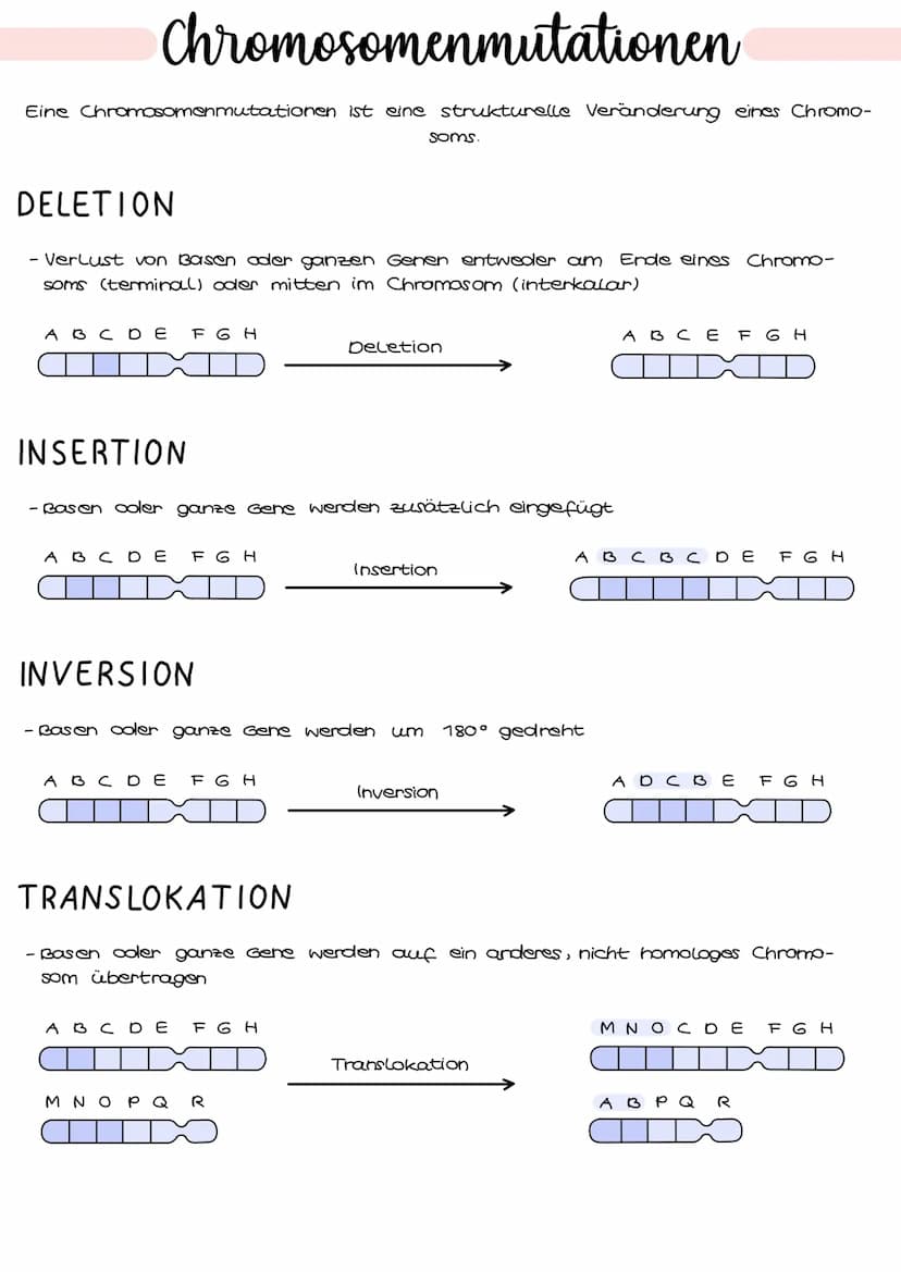 Genmutationen
Der Fehler liegt auf der Ebene des Gens, d.h. Basen sind betroffen durch
Basenaustausch, - entfernung oder - hinzufügungen, we