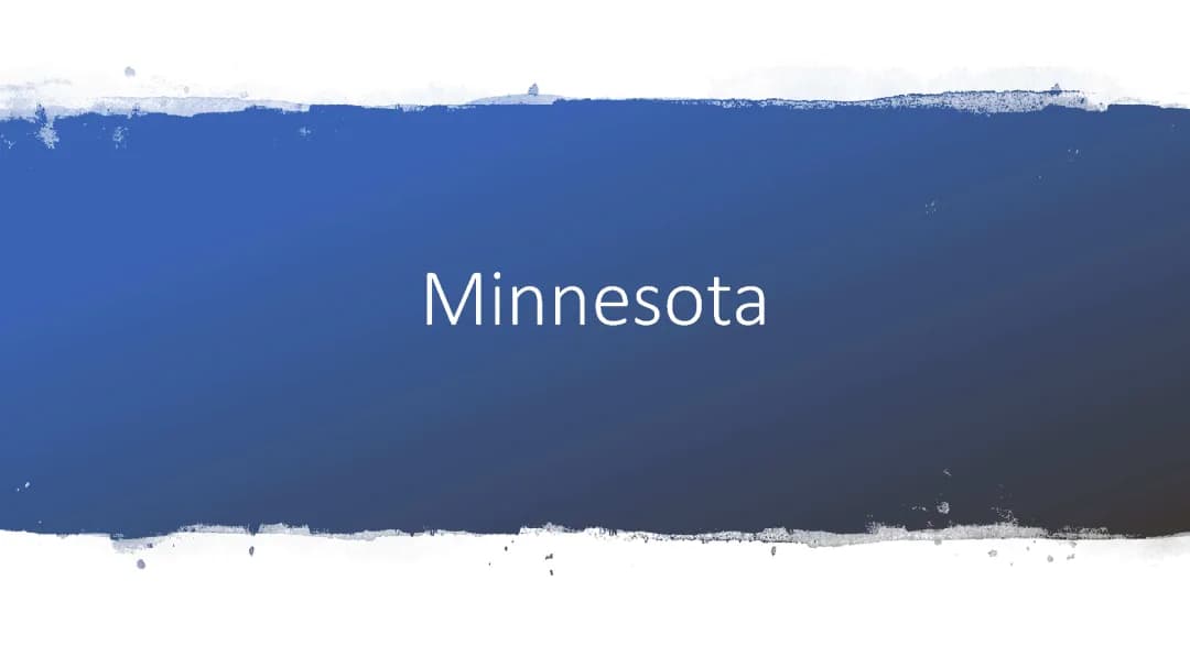 Explore Minnesota: Cities, Animals, and Sports Fun!