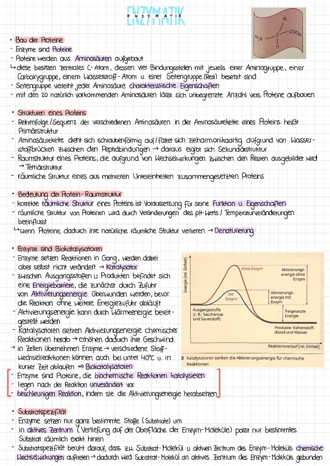 Enzymatik