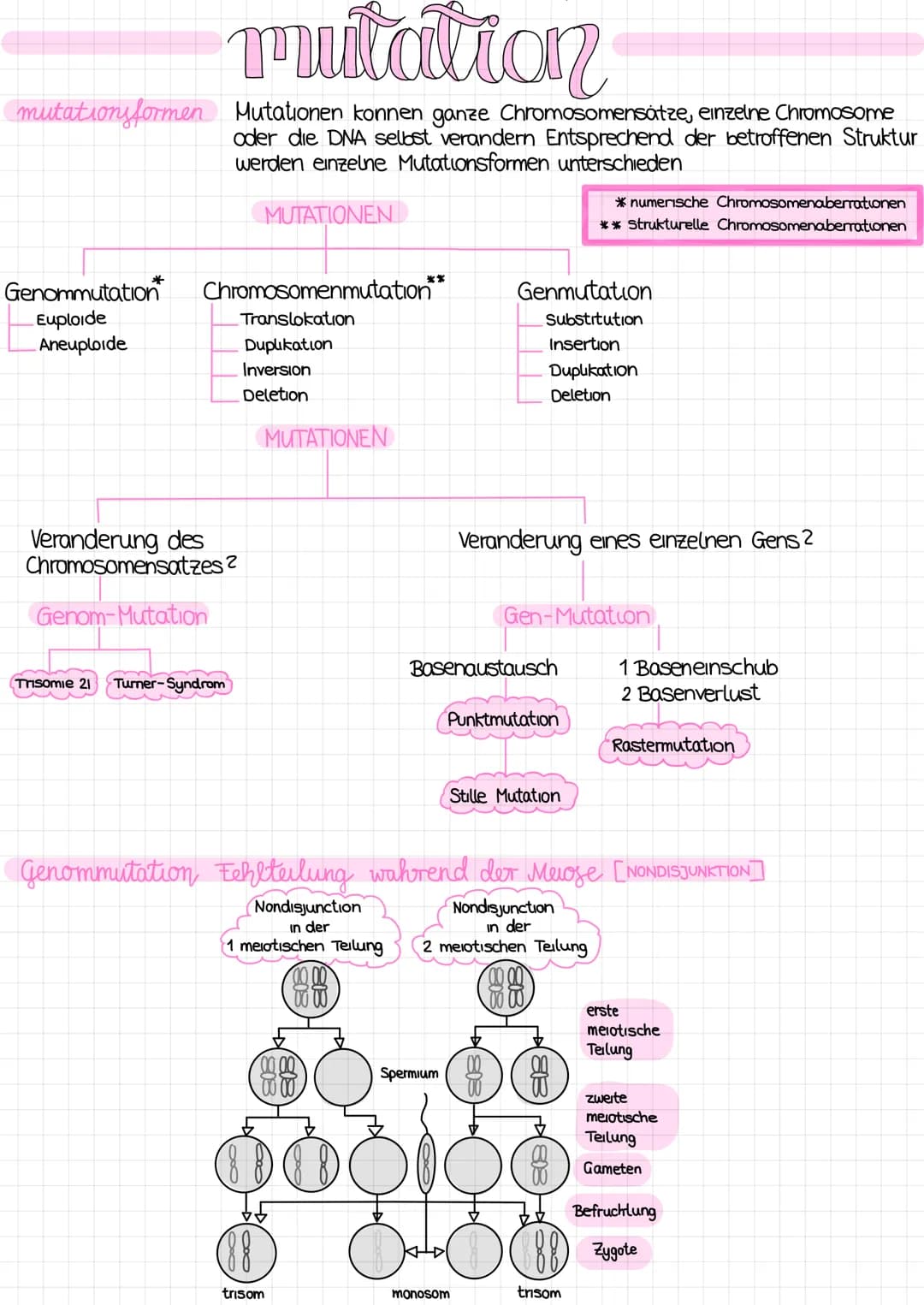 mutation
mutationsformen Mutationen konnen ganze Chromosomensätze, einzelne Chromosome
oder die DNA selbst verandern Entsprechend der betrof