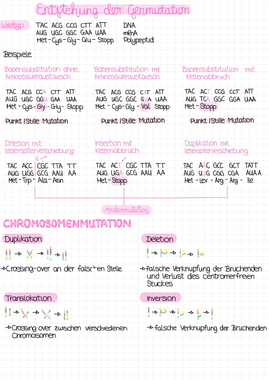 mutation
mutationsformen Mutationen konnen ganze Chromosomensätze, einzelne Chromosome
oder die DNA selbst verandern Entsprechend der betrof