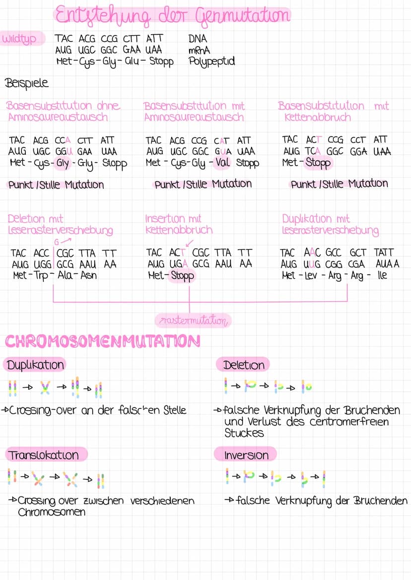 mutation
mutationsformen Mutationen konnen ganze Chromosomensätze, einzelne Chromosome
oder die DNA selbst verandern Entsprechend der betrof