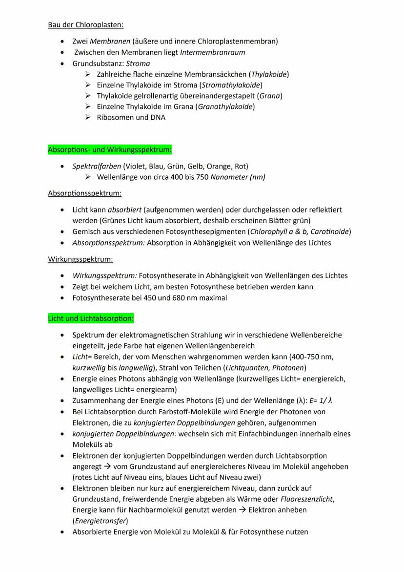 Bedeutung der Fotosynthese:
Lichtenergie wird für Lebewesen nutzbar:
● Chlorophyll kann durch Licht absorbieren (aufgenommen werden) → Umwan