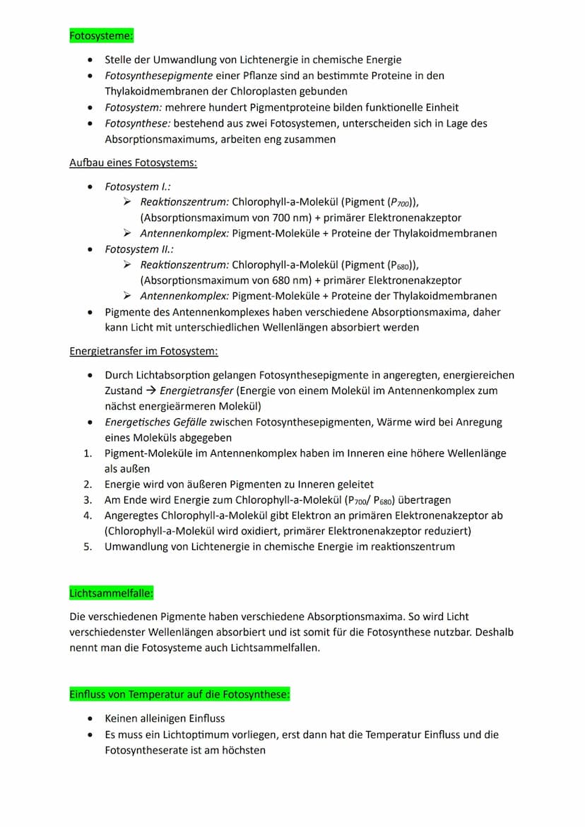 Bedeutung der Fotosynthese:
Lichtenergie wird für Lebewesen nutzbar:
● Chlorophyll kann durch Licht absorbieren (aufgenommen werden) → Umwan