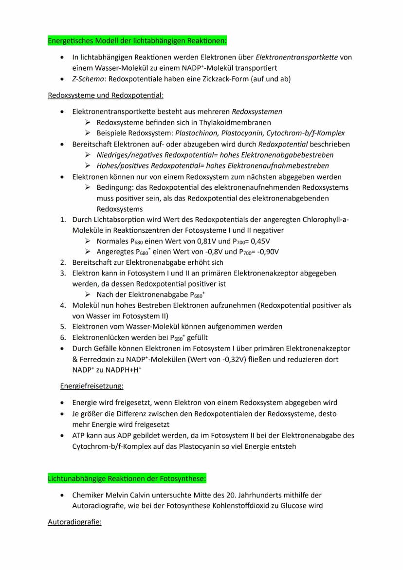 Bedeutung der Fotosynthese:
Lichtenergie wird für Lebewesen nutzbar:
● Chlorophyll kann durch Licht absorbieren (aufgenommen werden) → Umwan