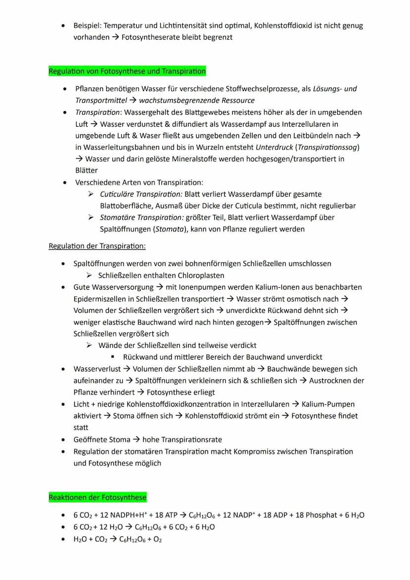 Bedeutung der Fotosynthese:
Lichtenergie wird für Lebewesen nutzbar:
● Chlorophyll kann durch Licht absorbieren (aufgenommen werden) → Umwan