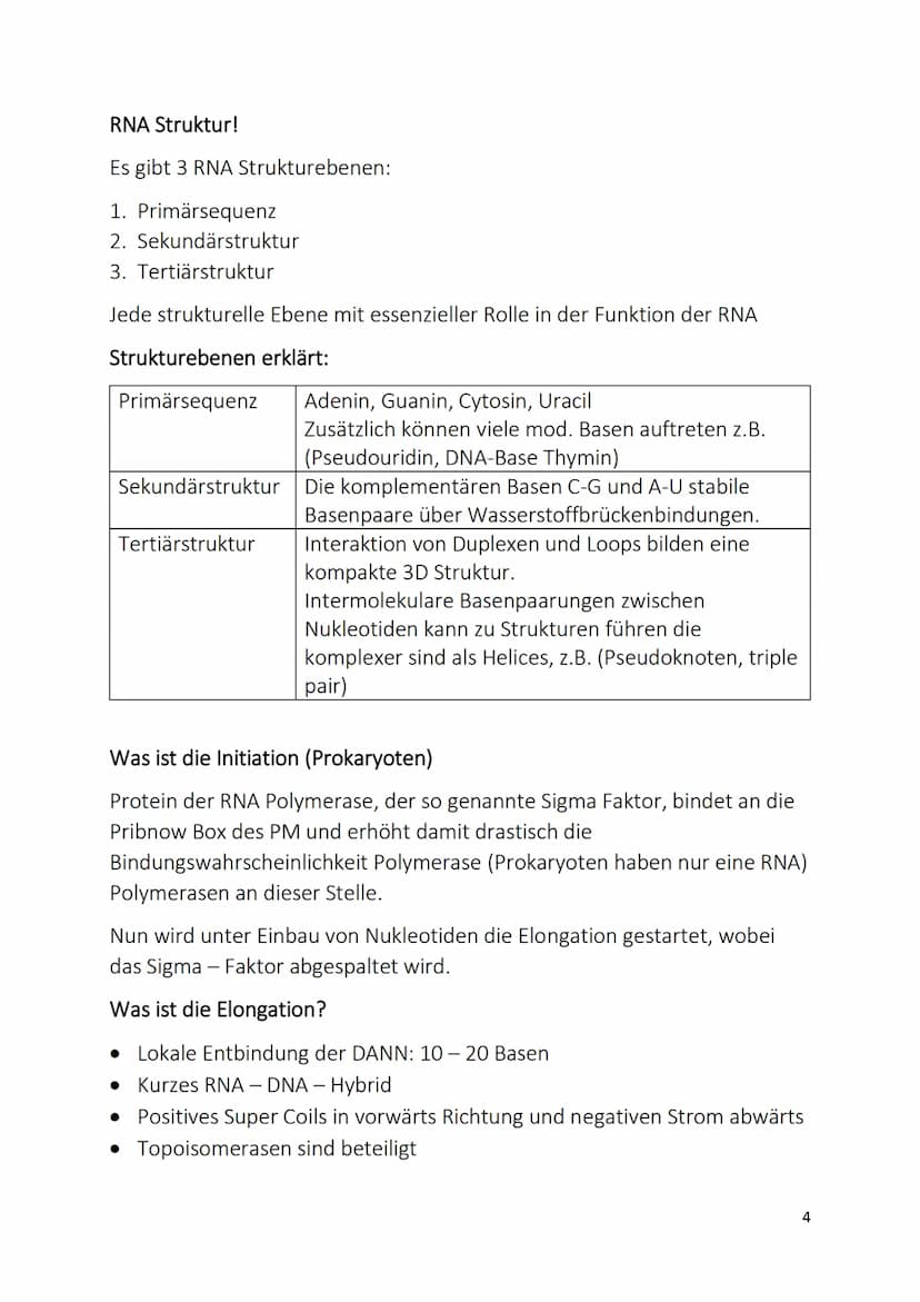 DNA (Desoxyribonukleinsäure)
Was ist die DNA?
• Langer sehr dünner Faden
• Befindet sich in jeder Zelle eines Lebewesens
• Oft liegt sie im 